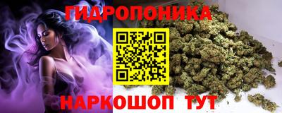 винт Славгород