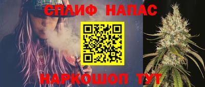 винт Славгород