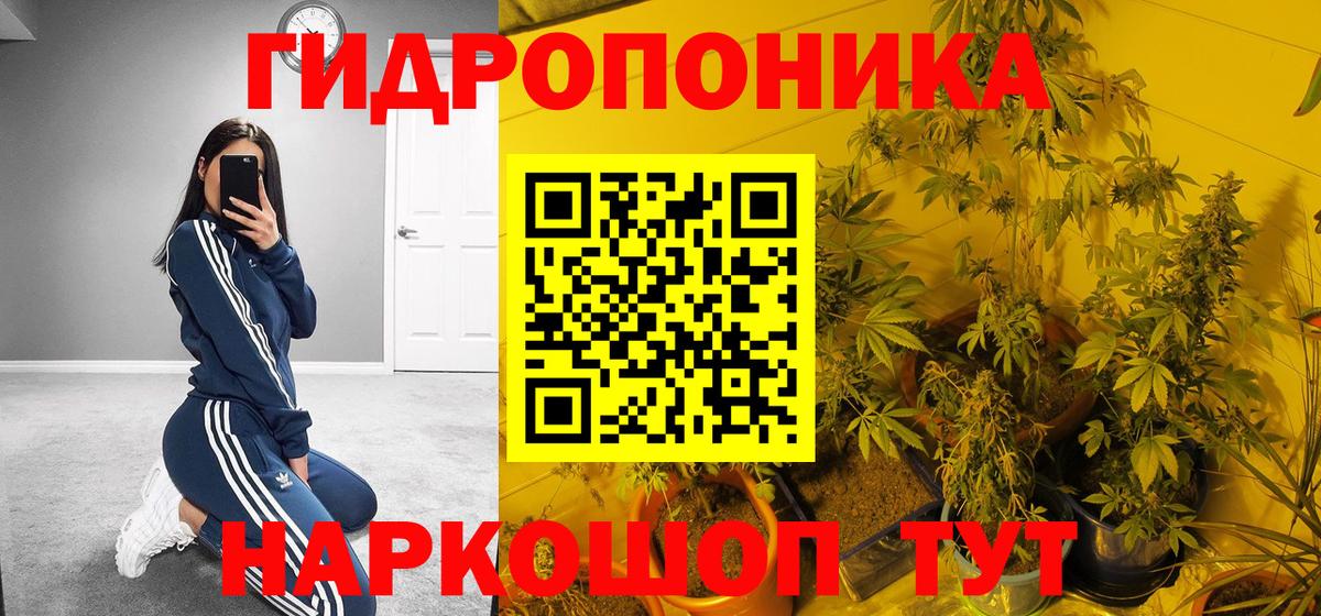 Конопля марихуана  Вход с VPN  Бошки Шишки Bruce Banner  Канабис OG Kush  Марихуана Ganja  Красноперекопск 